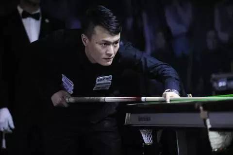 的观赏性 的观赏性